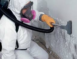 Environmental Consulting for Mold Prevention in Lake Brownwood, TX